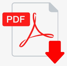 PDF: Pitago Optimizers in Short